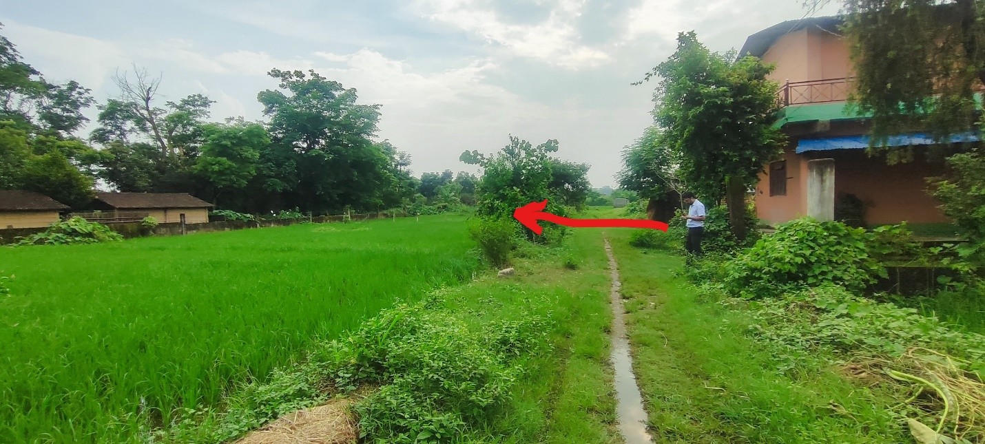 land at Bachhauli Chitwan